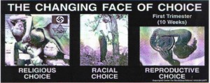 choice-761x302