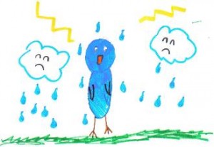 sad_bird-330x228