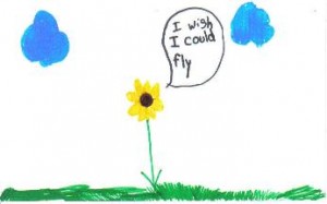 wish_i_could_fly-346x216